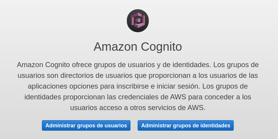 creación de un grupo de identidades en aws cognito